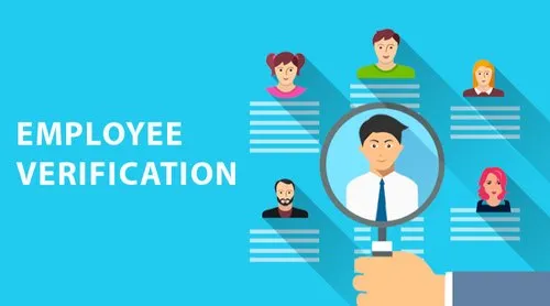 employment-verification-services-chandigarh